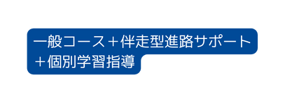 一般コース 伴走型進路サポート 個別学習指導